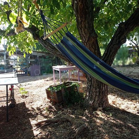 Beit Shapira Guest House Kefar Shammay Luaran gambar
